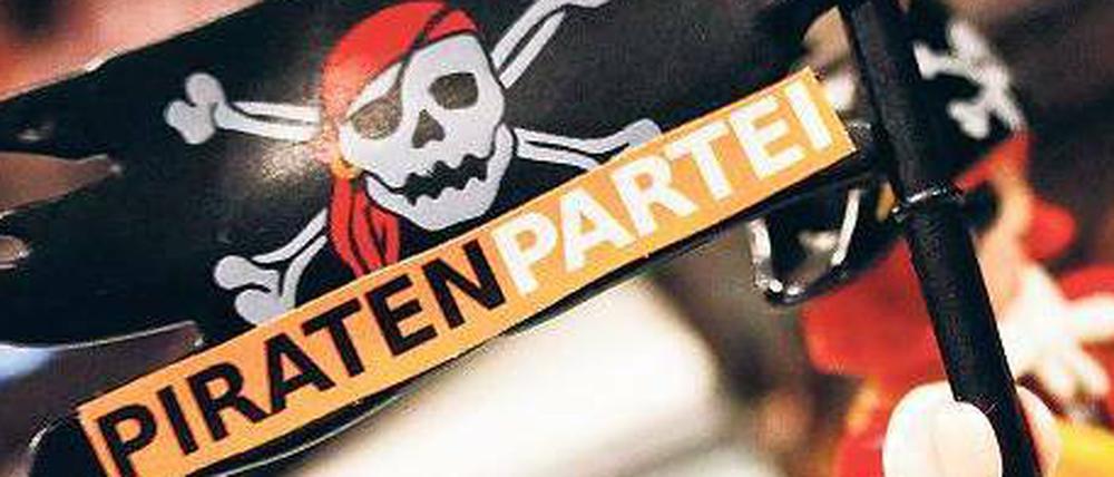 Basisdemokratischer Stil, amateurhafter Auftritt. Manches bei der Piratenpartei erinnert an die Frühphase der Grünen. 