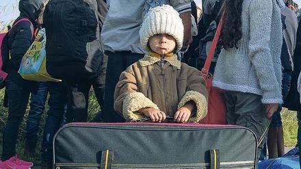 Flüchtlinge warten im Jahr 2015 nahe dem Bahnhof Schönefeld in Brandenburg. Die meisten, so wurde jetzt festgestellt, sind mit ihren Familien geflüchtet oder haben gar keine.
