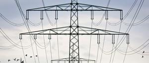 Mit einem neuen Aktionsplan Stromnetz plant das Bundeswirtschaftsministerium den Ausbau der Stromleitungen. 