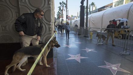 Bereits gestern war die Polizei in Alarmbereitschaft und suchte mit Spürhunden nach Bomben, bei der Premiere des neuen Star Wars Films am Hollywood Boulevard in L.A.