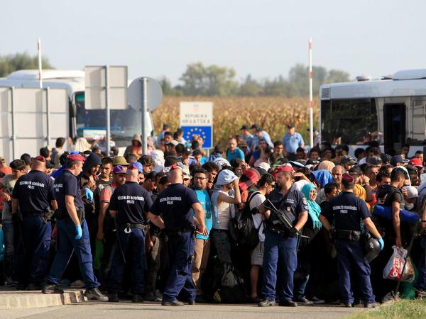 Offensichtlich schickt Kroatien Hunderte Flüchtlinge wieder nach Ungarn wie hier an der Grenze bei Beremend. Dort steigen sie dann in ungarische Busse um. REUTERS/