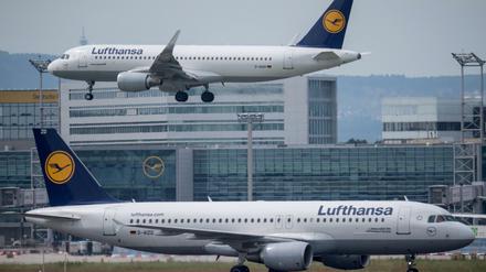 Eine Passagiermaschine der Lufthansa landet auf diesem Archivfoto auf dem Flughafen in Frankfurt am Main. 