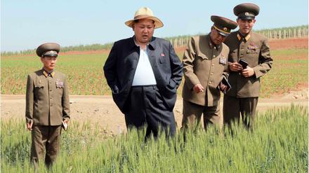 Nordkoreas Staatschef Kim Jong Un besichtigt auf diesem offiziell herausgegebenen Foto eine Farm an einem nicht näher bezeichneten Ort. 