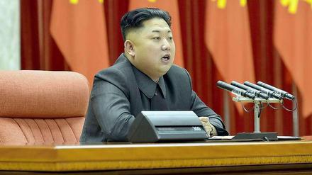 Nordkoreas Diktator Kim Jong Un