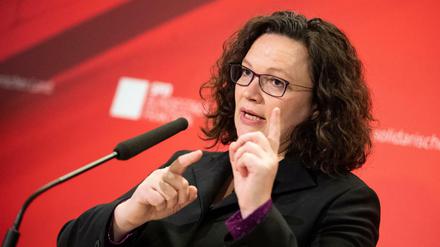 Hierlang geht's ins neue Jahr: Andrea Nahles, SPD-Partei- und Fraktionschefin am Rand der Klausurtagung ihrer Abgeordneten Anfang Januar.
