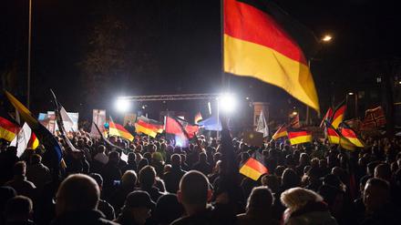 Teilnehmer einer Kundgebung der «Alternative für Deutschland» (AfD) schwenken am 18.11.2015 in Erfurt (Thüringen) ihre Fahnen. Es soll die vorerst letzte Kundgebung der Thüringer AfD in diesem Jahr sein. 
