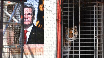 Vor dem Maxim Gorki Theater sollen Tiger in einer Kunstaktion angeblich "Flüchtlinge Fressen", wenn die Beförderung von Ausländern ohne Papiere nicht erlaubt wird.verbietet. 