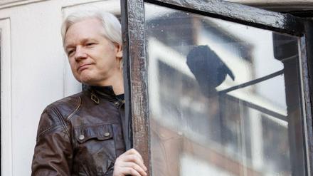 Julian Assange am Freitag auf dem Botschaftsbalkon in London.