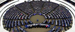 Zu den Europaabgeordneten wollen demnächst auch Mitglieder der neuen Volt-Bewegung gehören.