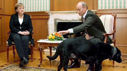 Vor elf Jahren in Sotschi brachte Putin seinen Hund Koney zur Begrüßung Merkels mit.