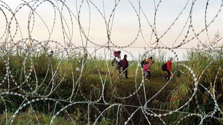 Der Vorsitzende der Deutschen Polizeigewerkschaft (DPolG), Rainer Wendt, wünscht sich einen Grenzzaun wie hier in Ungarn.