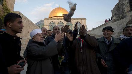 Der Mufti von Jerusalem, Mohammed Hussein (2.v.l.), lässt mit einem freigelassenen palästinensischen Häftling (M.) eine Friedenstaube frei.