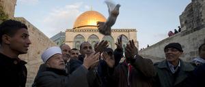 Der Mufti von Jerusalem, Mohammed Hussein (2.v.l.), lässt mit einem freigelassenen palästinensischen Häftling (M.) eine Friedenstaube frei.
