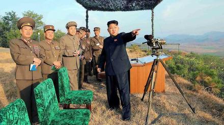Das offizielle Foto zeigt Nordkoreas Staatschef Kim Jong Un mit Generälen.