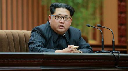 Kim Jong-un, Machthaber Nordkoreas. 