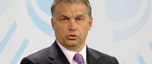 Die Orbán-Regierung will sich ein wenig herausputzen - und ehrt Romani Rose.