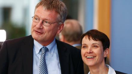 Die beiden AfD-Vorsitzenden Jörg Meuthen und Frauke Petry.