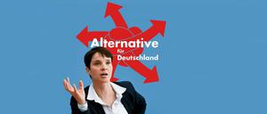 Frauke Petry, Vorsitzende der Alternative für Deutschland, am 14 März 2016. 
