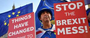 Ein neues Referendum? Brexit-Gegner demonstrieren am Mittwoch vor dem Parlament in London.