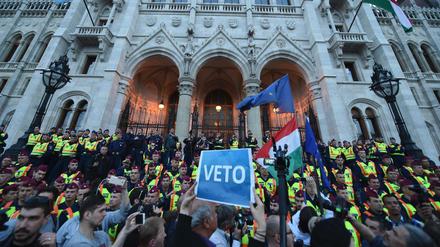 Demonstranten protestieren vor dem Parlament in Budapest gegen die Willkürmaßnahmen gegen die Central European University. 