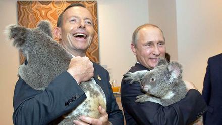 Der australische Premier Tony Abbott und der russische Präsident Wladimir Putin halten zwei Koalabären im Arm.