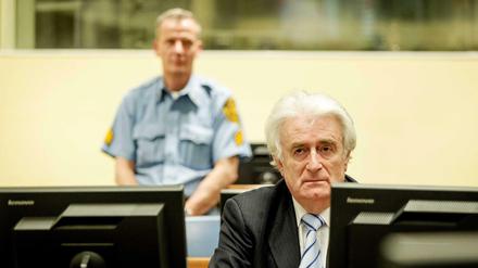 Erst im Juli 2008 wurde Radovan Karadzic - hier bei der Urteilsverkündung - gefasst. Ein Jahr später begann der Prozess.