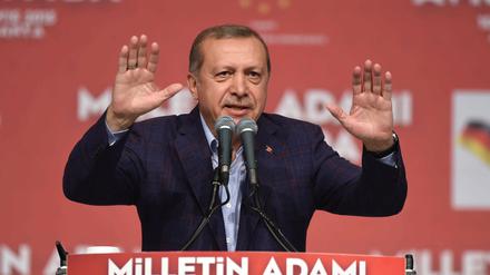 Grünen-Chef Cem Özdemir übt harsche Kritik am türkischen Staatspräsidenten Recep Tayyip Erdogan.