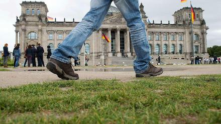 Sattes Grün? Von wegen. Dem Rasen vor dem Reichstag geht es schlecht.