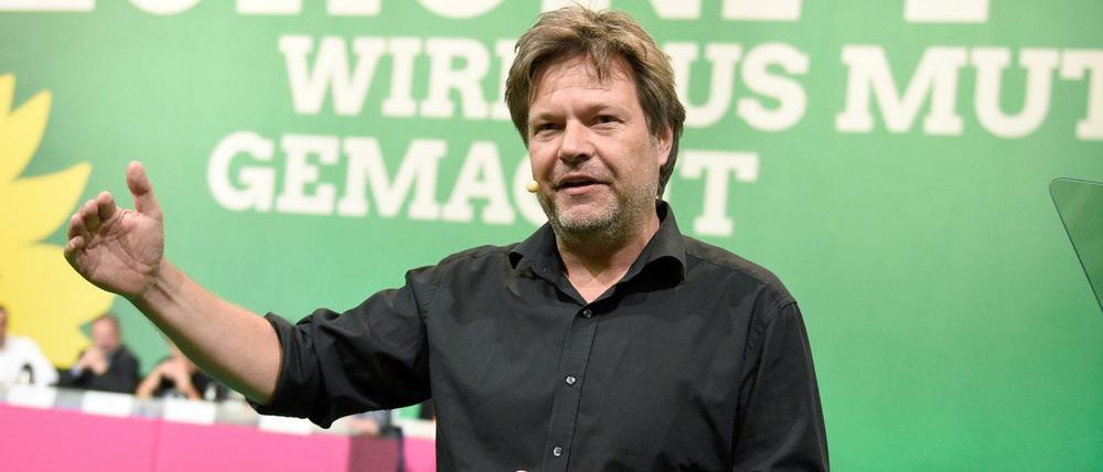 Schleswig-Holsteins Umweltminister Robert Habeck will Cem Özdemir als Parteichef folgen.