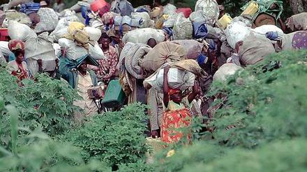 Ein Land zieht aus. Innerhalb der ersten 24 Stunden nach dem Beginn des Völkermords waren 250 000 Tutsi aus Ruanda ins Nachbarland Tansania geflüchtet. Drei Monate später zogen mehr als eine Million Hutu ins damalige Zaire - auf der Flucht vor Vergeltung. Das Foto zeigt den Flüchtlingstreck aus Zaire zurück nach Ruanda im Jahr 1996. 