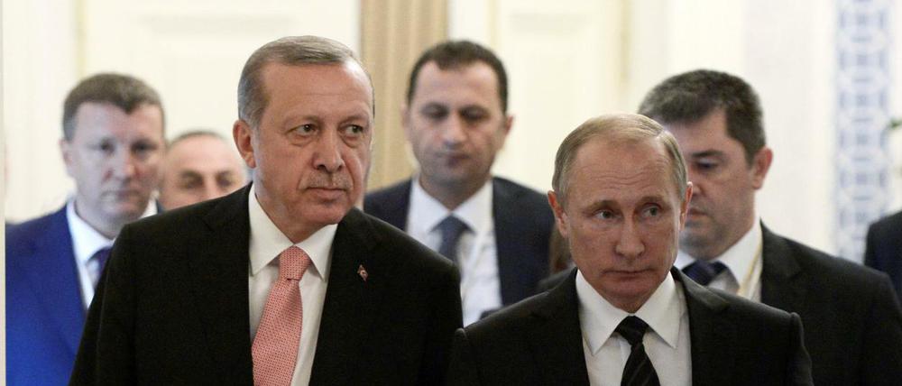 Der russische Präsident Vladimir Putin (r) und der Präsident der Türkei, Tayyip Erdogan in St. Petersburg.