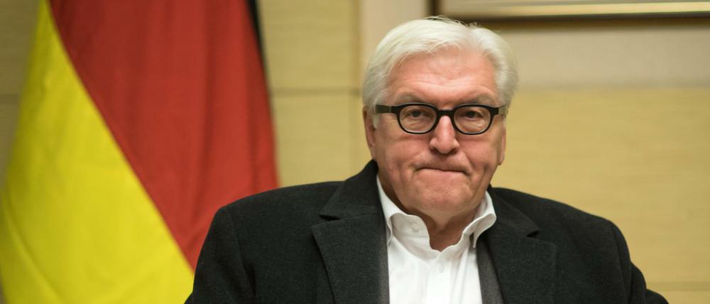 Bundesaußenminister Frank-Walter Steinmeier (SPD)