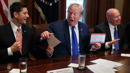 US-Präsident Donald Trump präsentiert im Weißen Haus ein neues Steuererklärungsformular.