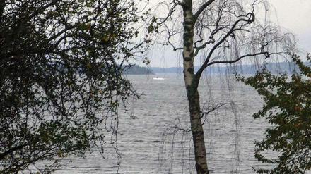 Schwedens Militär veröffentlichte dieses Bild des unbekannten Unterwasserobjekts. 