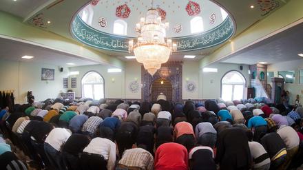 Die meisten Muslime, hier in der Moschee Eyüp Sultan Camii in Ronnenberg bei Hannover, sind moderat. 