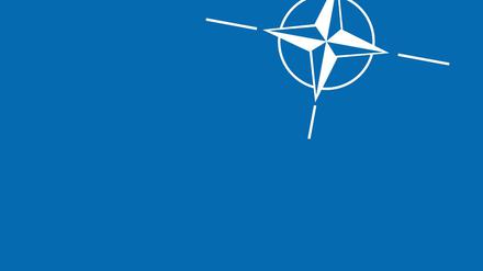 In den Augen von US-Präsident Trump tragen die europäischen Nato-Staaten zu wenig zum gemeinsamen Verteidigungsbündnis bei. 