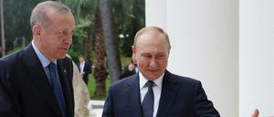 Erdogan und Putin beim Treffen in Sotschi.