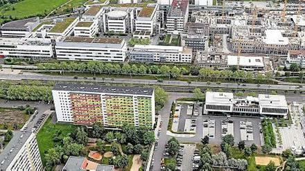 So berichtete die Thüringer Allgemeine Zeitung über den Fall der drei indischen Studenten, die in einem Park in Jena von Neonazis angegriffen wurden. 