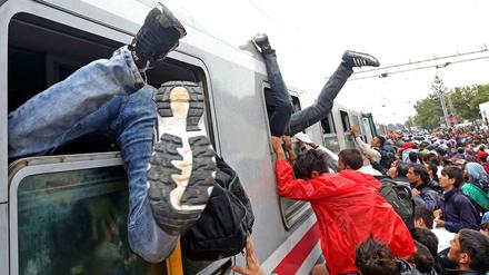 Flüchtlinge stürmen in Kroatien einen Zug nach Ungarn.
