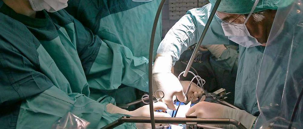 In einer Klinik wird bei einer Operation einem Spender eine Niere entnommen, die für eine Transplantation vorgesehen ist.
