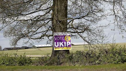 Die EU- und ausländerfeindliche Partei Ukip droht bei den Parlamentswahlen in Großbritannien viele Stimmen zu bekommen.