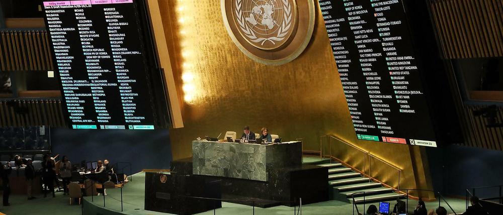 Internationale Organisationen wie die UN geraten im Zeitalter des Trumpismus immer stärker unter Druck.