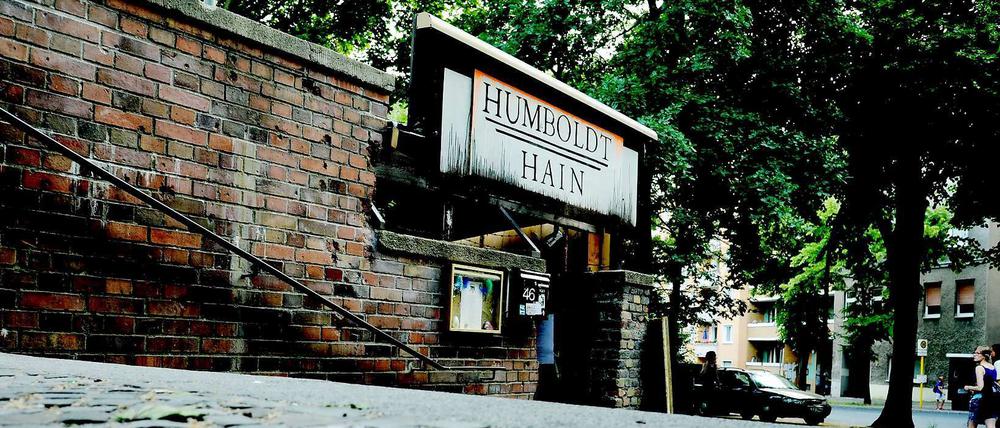 Der Humboldthain - ein Szeneort? 