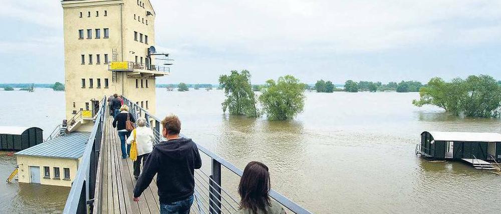 Ausflugziel. Der überflutete Hafen in Groß-Neuendorf im Oderbruch lockte am Sonntag die Schaulustigen an. 