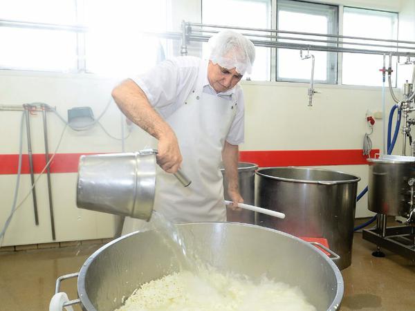 Käsemeister Gino weiß, wie viel Masse er braucht, um nach dem Rühren und Ziehen 30 Kilo Mozzarella aus dem Kessel zu holen.