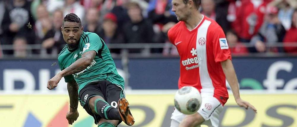 Für Schalke 04 beginnt die Gruppenphase der Champions League am Mittwoch mit einem Heimspiel gegen Steaua Bukarest. Zuvor entschied Kevin-Prince Boateng das Aufeinandertreffen mit Mainz 05 mit einem geschickten Schlenzer.