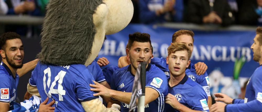 Nabil Bentaleb, Johannes Geis, Max Meyer, Benedikt Höwedes und Matija Nastasic (l-r) von Schalke bejubeln das 1:0 gegen Mainz. 