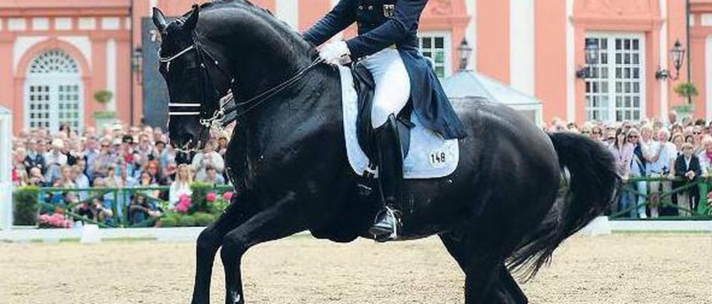Star in der Manege. Matthias Rath war am Wochenende in Wiesbaden nur schmuckes Beiwerk. Die meisten Zuschauer wollten das Zehn-Millionen-Euro-Pferd sehen. Foto: dpa