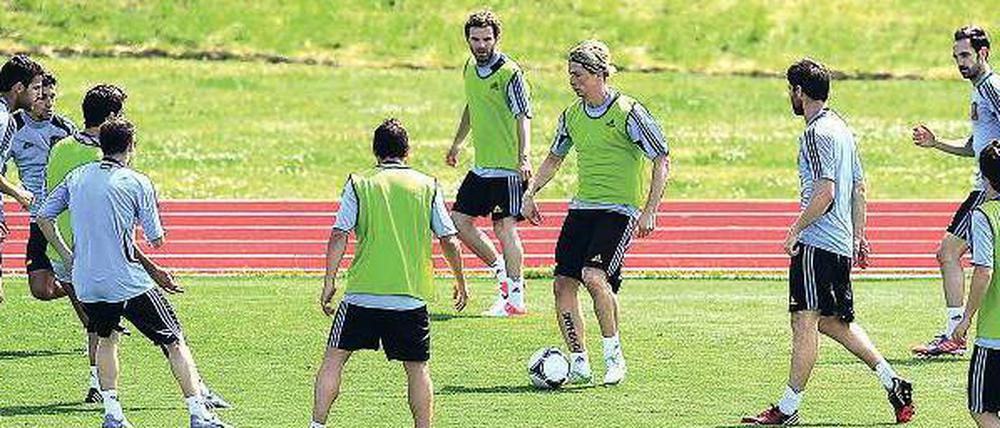 Im Zentrum. Fernando Torres (Mitte) ist von Beruf Mittelstürmer. Gegen Irland könnte Spaniens Trainer Vicente del Bosque erneut auf einen gelernten Angreifer verzichten. 