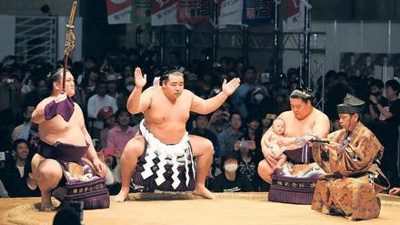 Zeremonie ist alles. Auch Kakuryu (Mitte), der neueste Kämpfer im höchsten Rang, ist zur Pflege der Sumo-Riten verpflichtet.